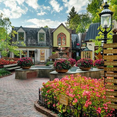 Villa Bluebearry Patch à Gatlinburg Extérieur photo