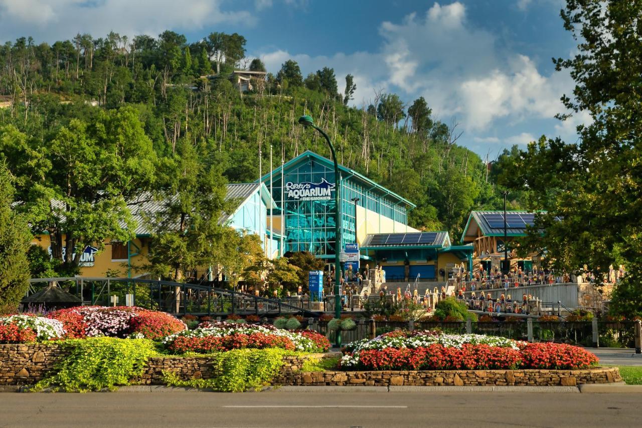 Villa Bluebearry Patch à Gatlinburg Extérieur photo